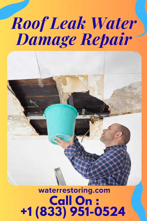 Roof Leak Water Damage Repair in Elkhart, TX